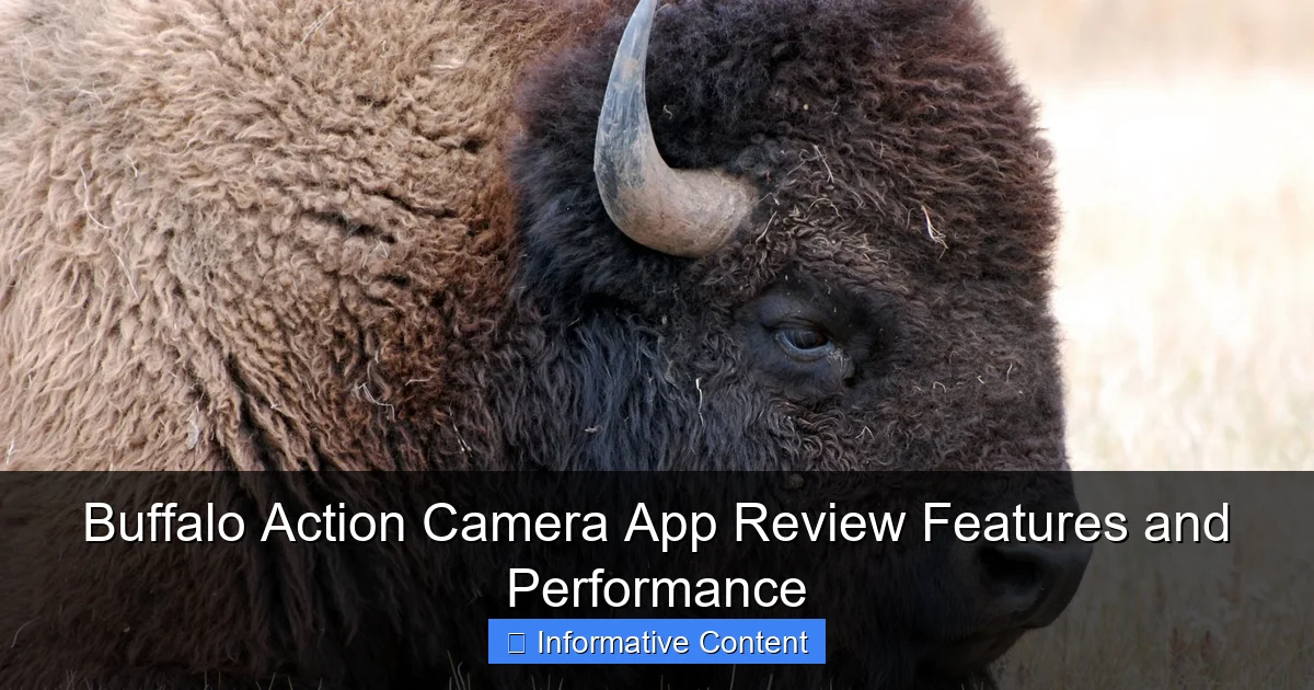 Buffalo Action Camera App Review Features and Performance