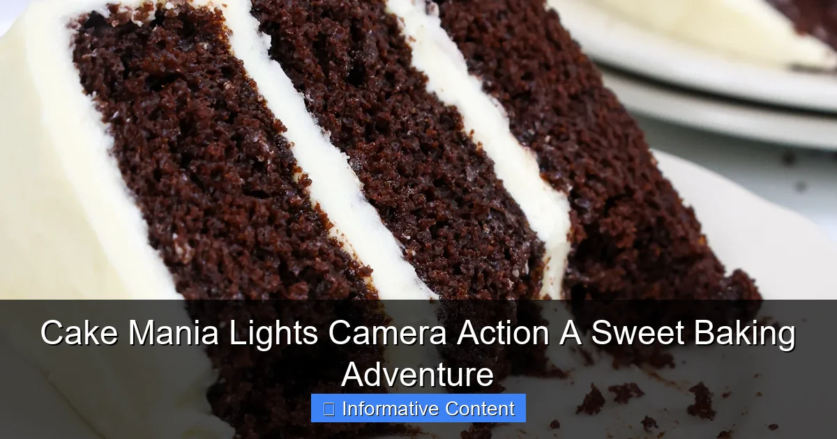 Cake Mania Lights Camera Action A Sweet Baking Adventure