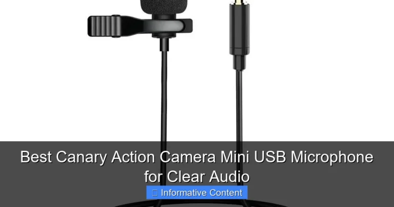 Best Canary Action Camera Mini USB Microphone for Clear Audio