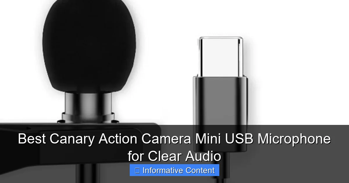Best Canary Action Camera Mini USB Microphone for Clear Audio