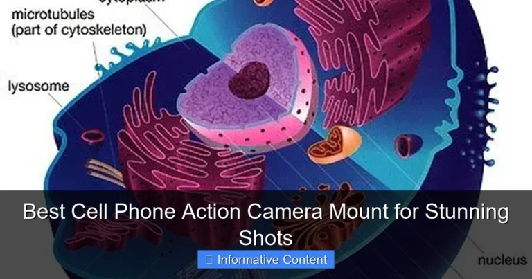 Best Cell Phone Action Camera Mount for Stunning Shots