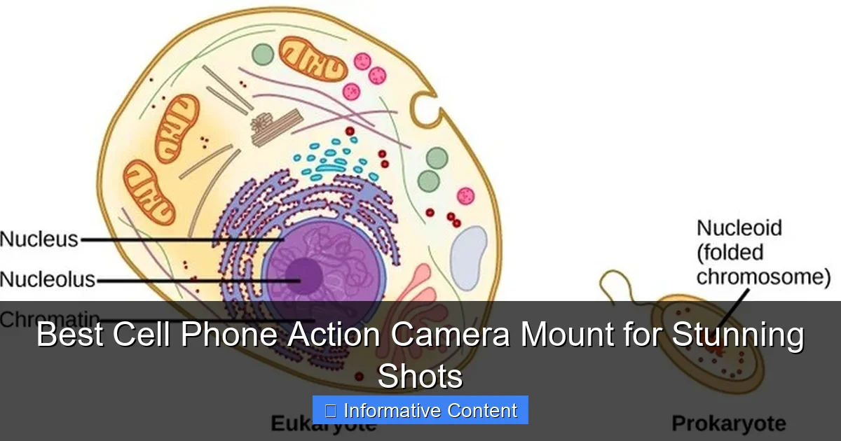 Best Cell Phone Action Camera Mount for Stunning Shots