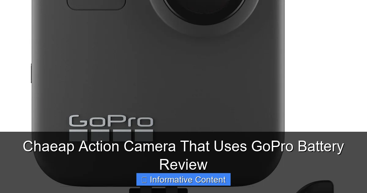 Chaeap Action Camera That Uses GoPro Battery Review