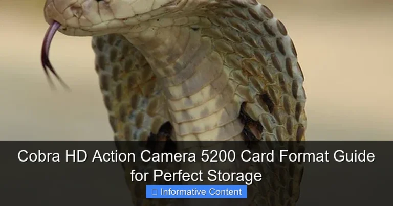 Cobra HD Action Camera 5200 Card Format Guide for Perfect Storage