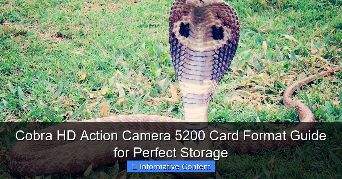Cobra HD Action Camera 5200 Card Format Guide for Perfect Storage