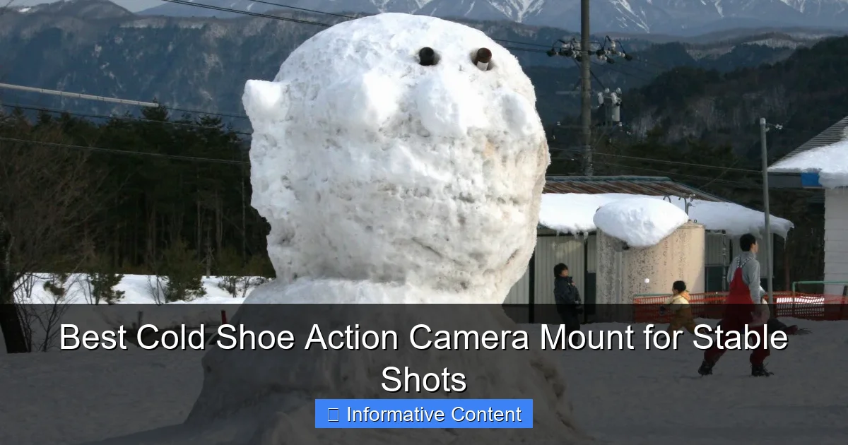 Best Cold Shoe Action Camera Mount for Stable Shots