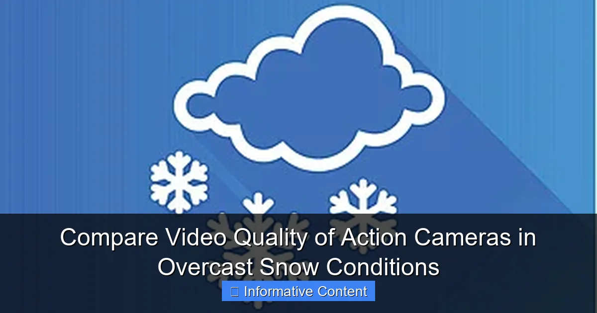 Compare Video Quality of Action Cameras in Overcast Snow Conditions