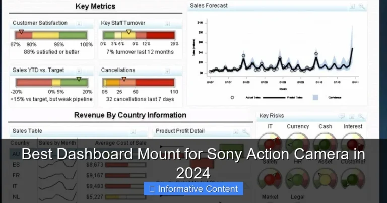 Best Dashboard Mount for Sony Action Camera in 2024