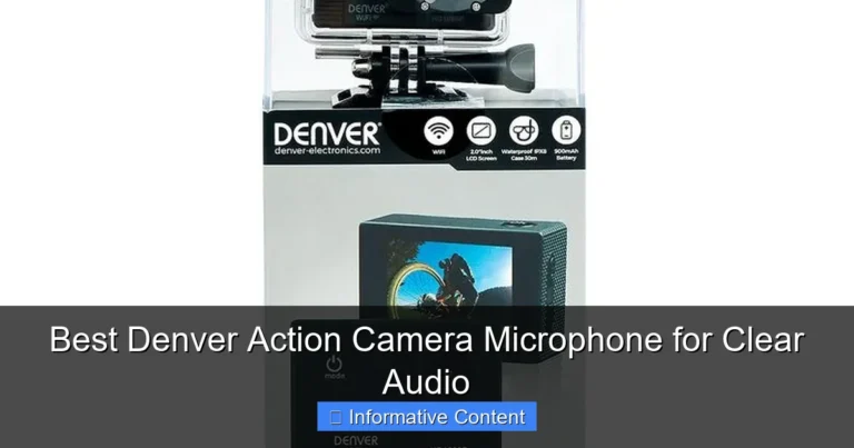 Best Denver Action Camera Microphone for Clear Audio