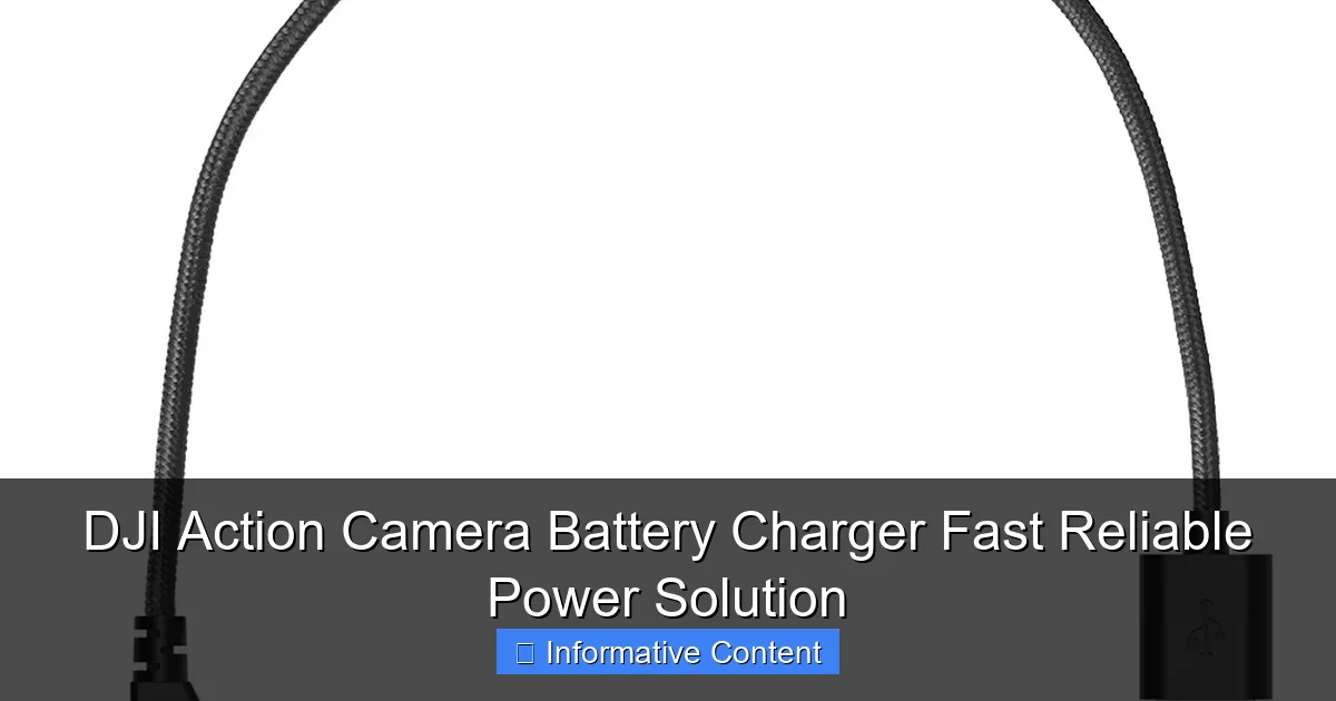 DJI Action Camera Battery Charger Fast Reliable Power Solution