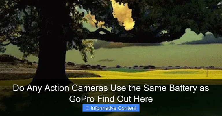 Do Any Action Cameras Use the Same Battery as GoPro Find Out Here