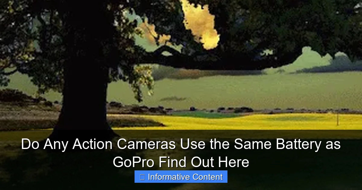 Do Any Action Cameras Use the Same Battery as GoPro Find Out Here