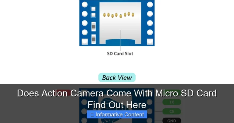Does Action Camera Come With Micro SD Card Find Out Here