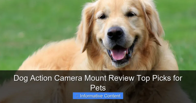Dog Action Camera Mount Review Top Picks for Pets