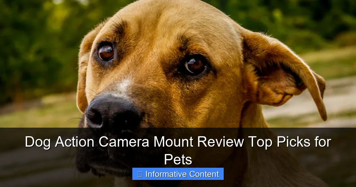 Dog Action Camera Mount Review Top Picks for Pets