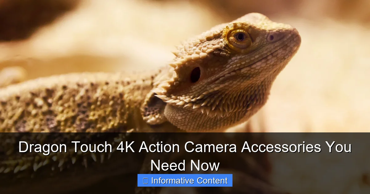Dragon Touch 4K Action Camera Accessories You Need Now
