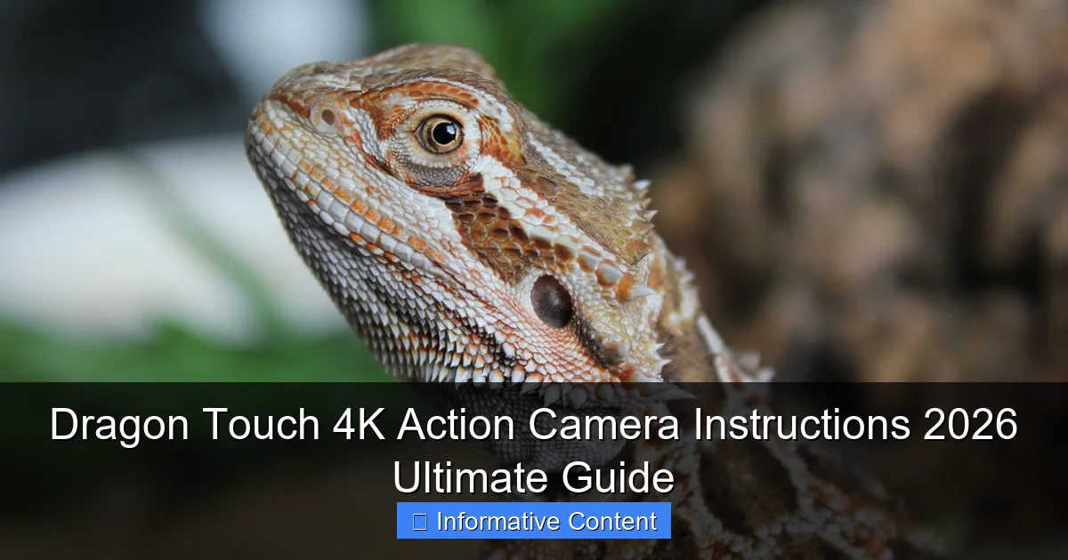 Dragon Touch 4K Action Camera Instructions 2026 Ultimate Guide