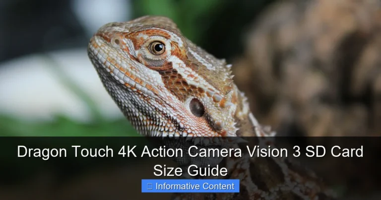 Dragon Touch 4K Action Camera Vision 3 SD Card Size Guide