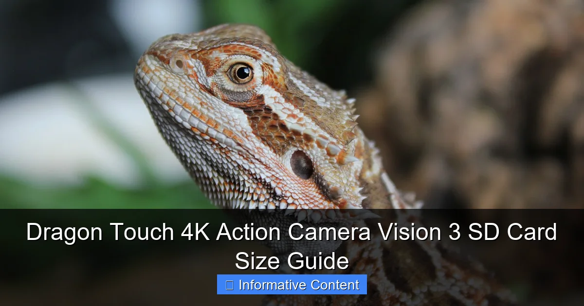 Dragon Touch 4K Action Camera Vision 3 SD Card Size Guide