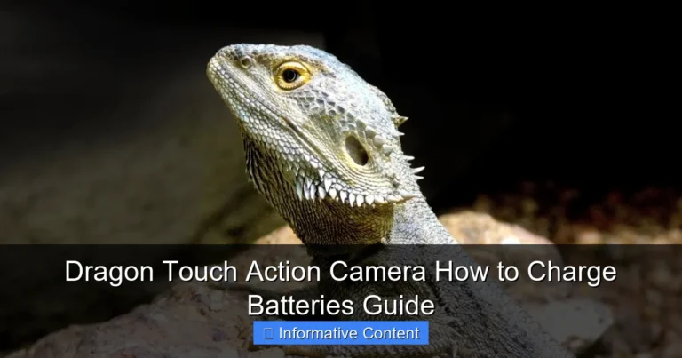Dragon Touch Action Camera How to Charge Batteries Guide