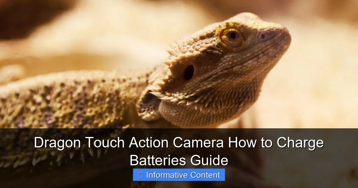 Dragon Touch Action Camera How to Charge Batteries Guide
