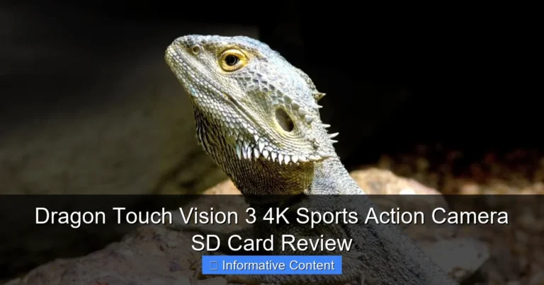 Dragon Touch Vision 3 4K Sports Action Camera SD Card Review