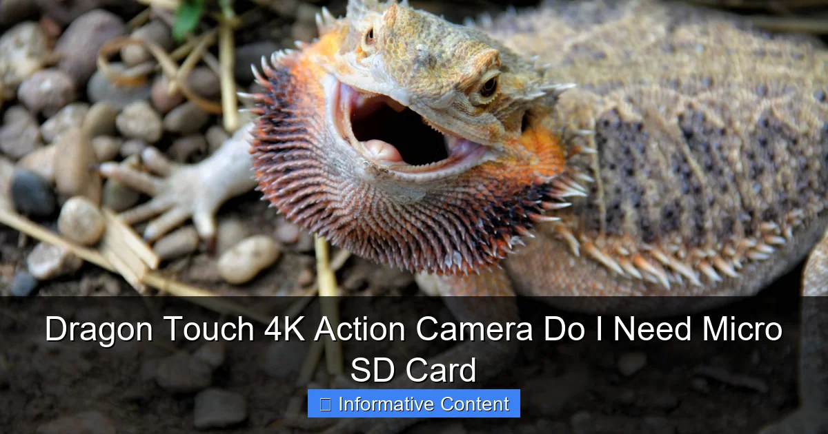 Dragon Touch 4K Action Camera Do I Need Micro SD Card