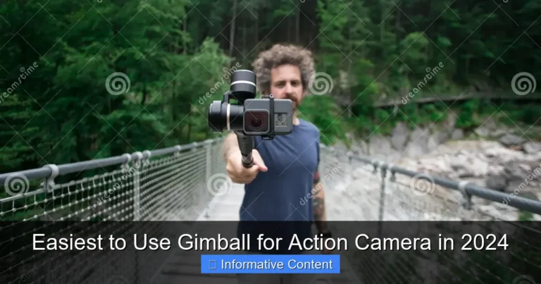 Easiest to Use Gimball for Action Camera in 2024