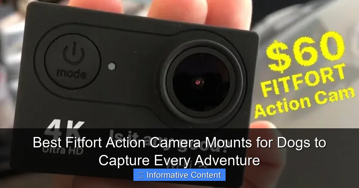 Best Fitfort Action Camera Mounts for Dogs to Capture Every Adventure