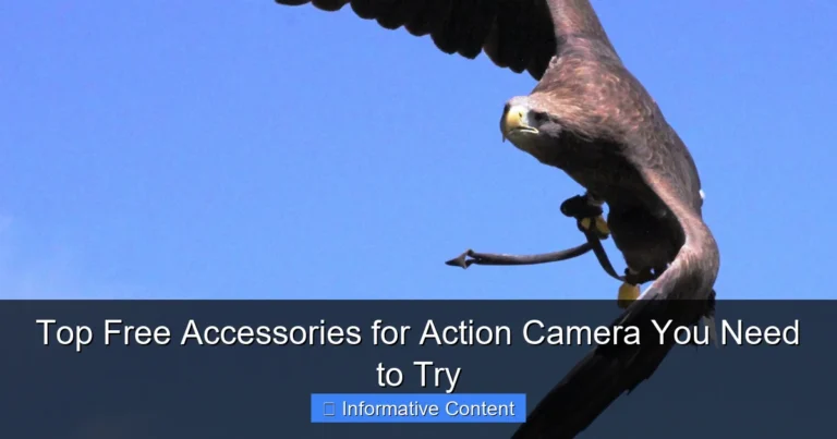 Top Free Accessories for Action Camera You Need to Try