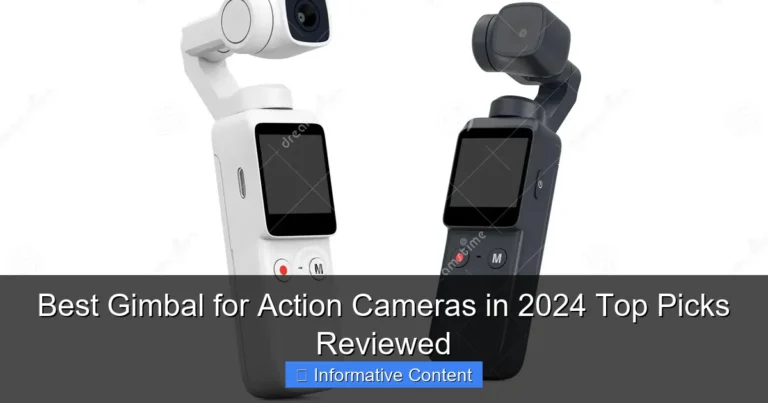 Best Gimbal for Action Cameras in 2024 Top Picks Reviewed