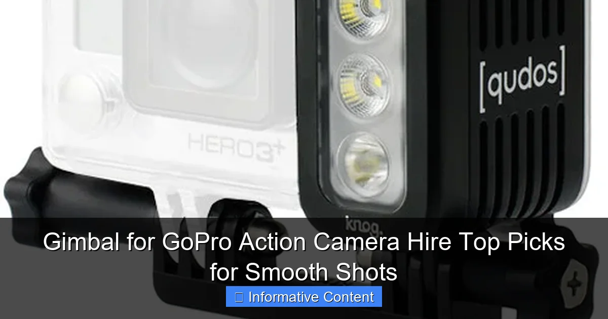 Gimbal for GoPro Action Camera Hire Top Picks for Smooth Shots