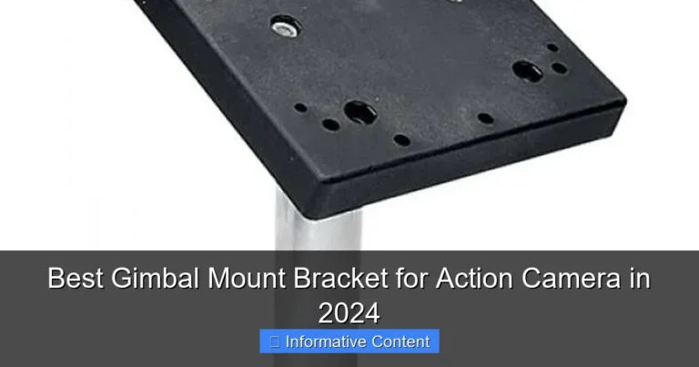 Best Gimbal Mount Bracket for Action Camera in 2024