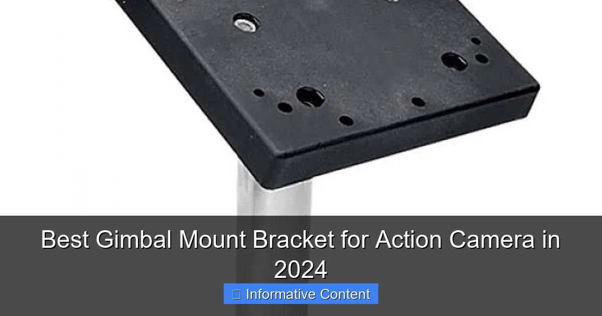 Best Gimbal Mount Bracket for Action Camera in 2024