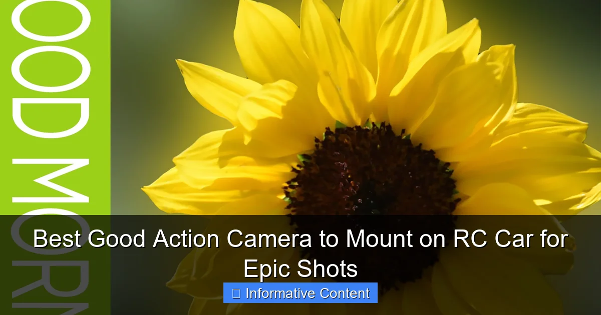 Best Good Action Camera to Mount on RC Car for Epic Shots