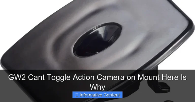 GW2 Cant Toggle Action Camera on Mount Here Is Why