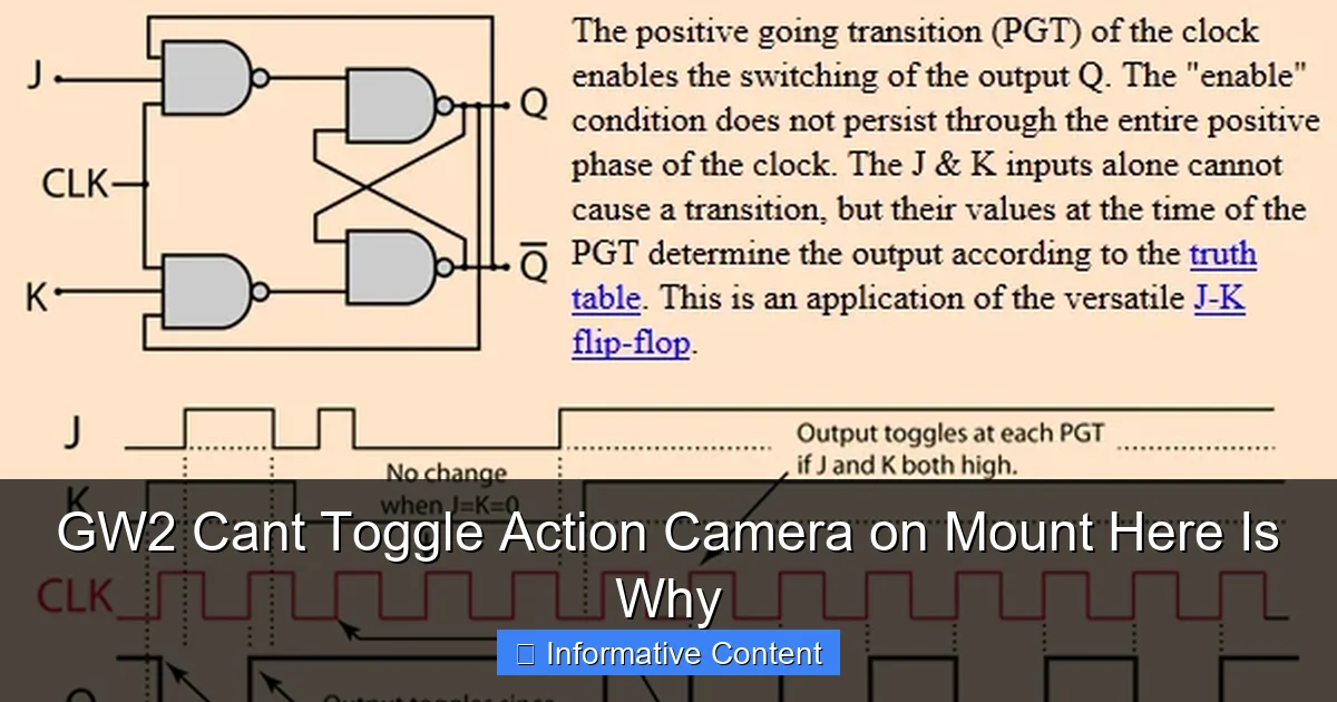 GW2 Cant Toggle Action Camera on Mount Here Is Why