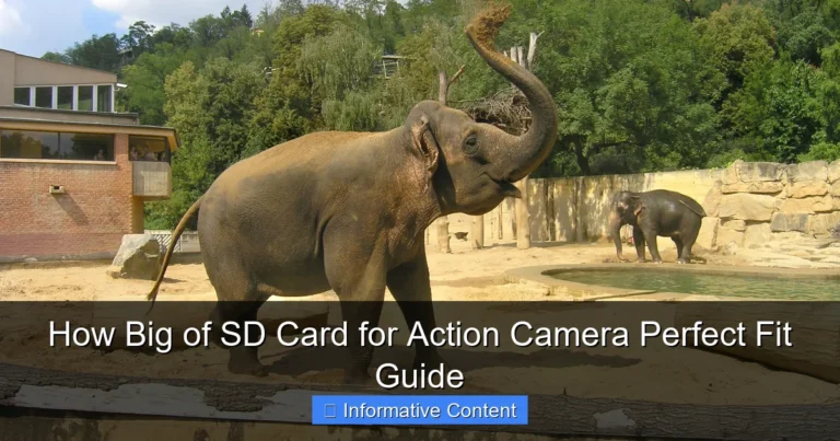 How Big of SD Card for Action Camera Perfect Fit Guide