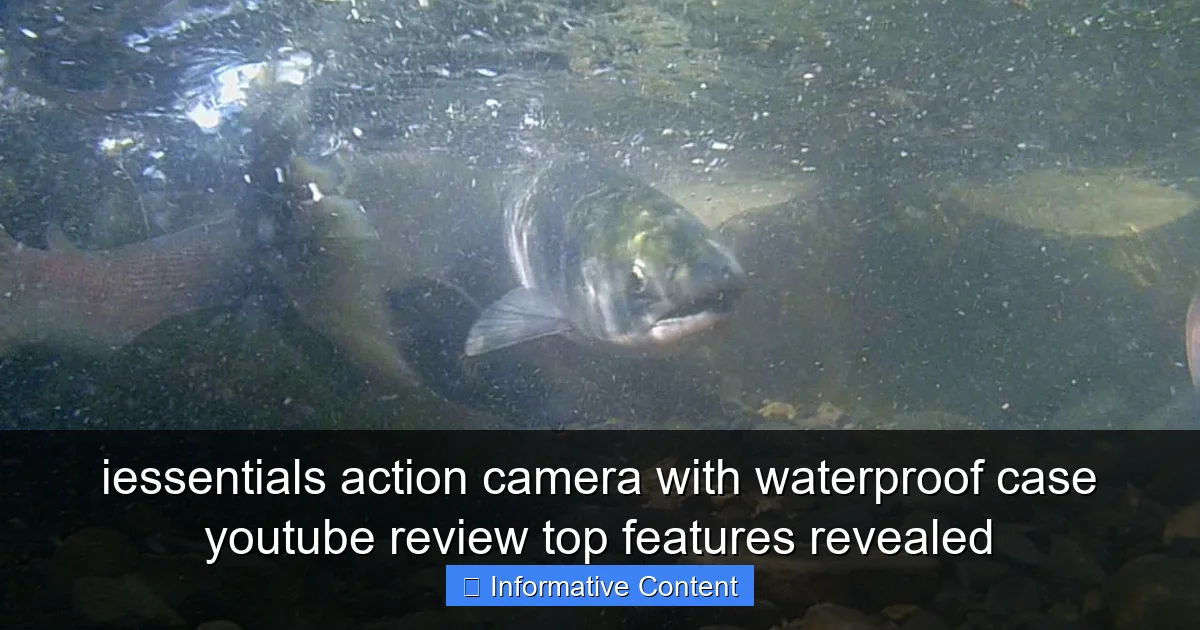 iessentials action camera with waterproof case youtube review top features revealed