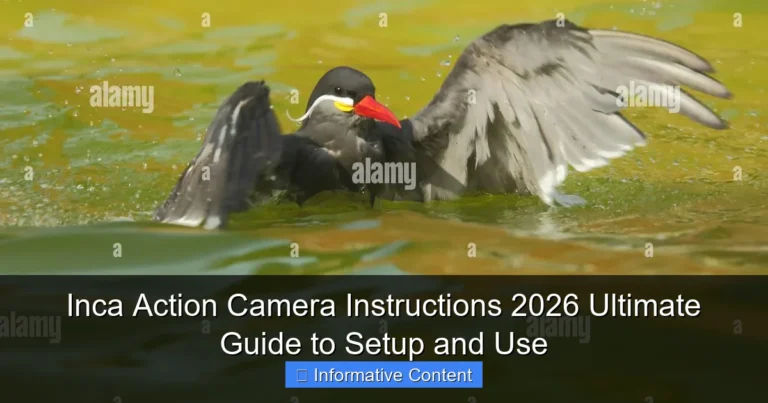 Inca Action Camera Instructions 2026 Ultimate Guide to Setup and Use