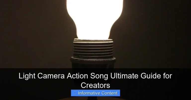 Light Camera Action Song Ultimate Guide for Creators