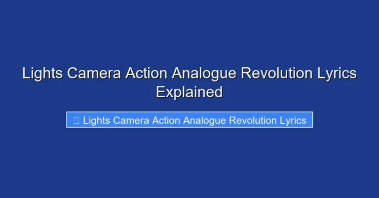 Lights Camera Action Analogue Revolution Lyrics Explained