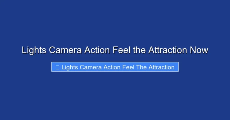 Lights Camera Action Feel the Attraction Now