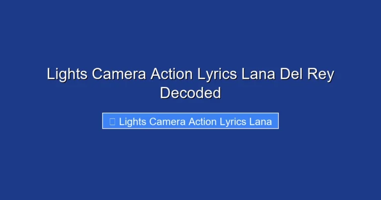 Lights Camera Action Lyrics Lana Del Rey Decoded