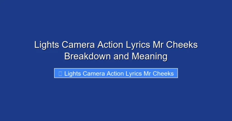 Lights Camera Action Lyrics Mr Cheeks Breakdown and Meaning