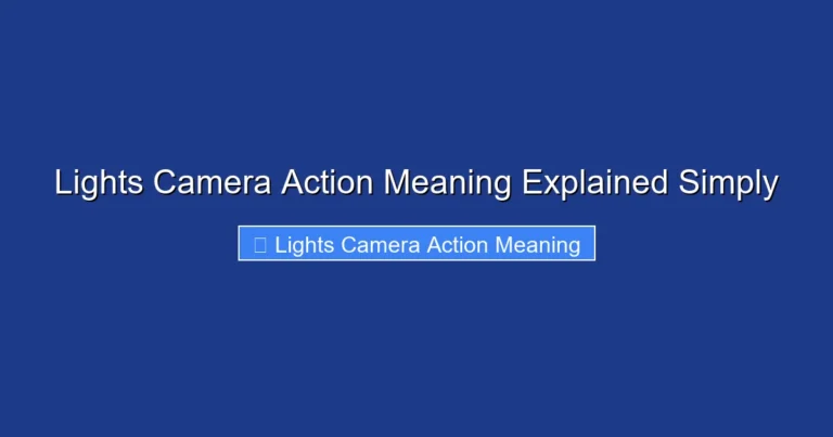 Lights Camera Action Meaning Explained Simply