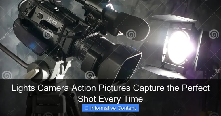 Lights Camera Action Pictures Capture the Perfect Shot Every Time