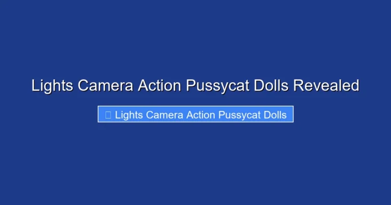 Lights Camera Action Pussycat Dolls Revealed