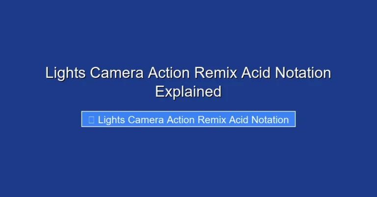 Lights Camera Action Remix Acid Notation Explained