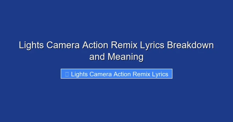 Lights Camera Action Remix Lyrics Breakdown and Meaning